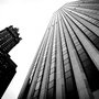 11 04 05 NewYork NYC 8160