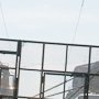11 11 01 012 ManifContreG20 NIC 3903
