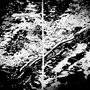 11 04 04 NewYork NY 7192
