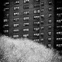 11 04 06 NewYork NYC 8653